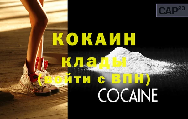 индика Белокуриха