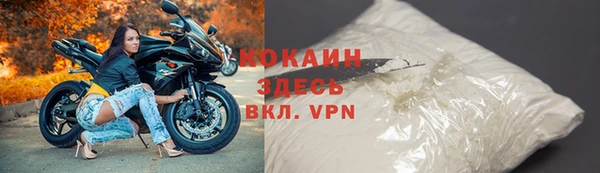 индика Белокуриха