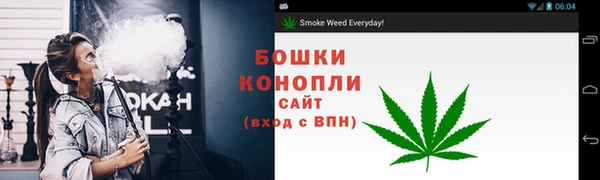 стаф Белоозёрский