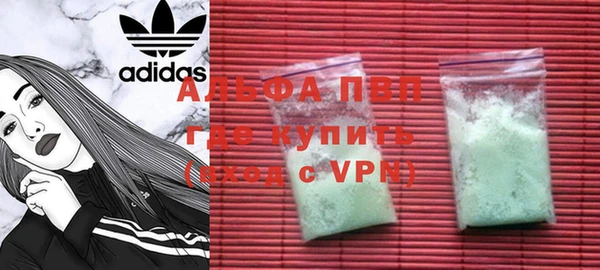индика Белокуриха