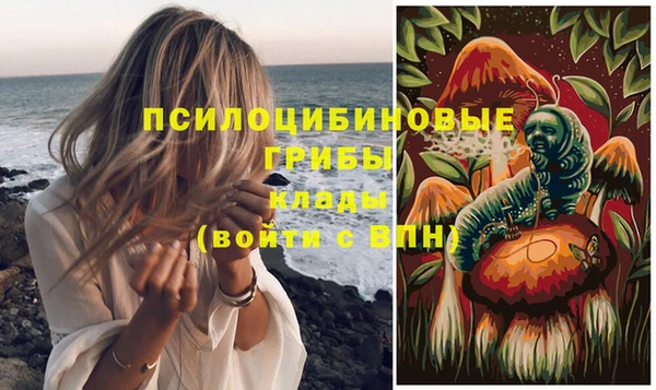 индика Белокуриха