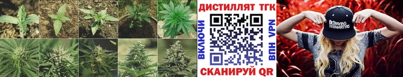 закладка Игра Дистиллят ТГК THC oil